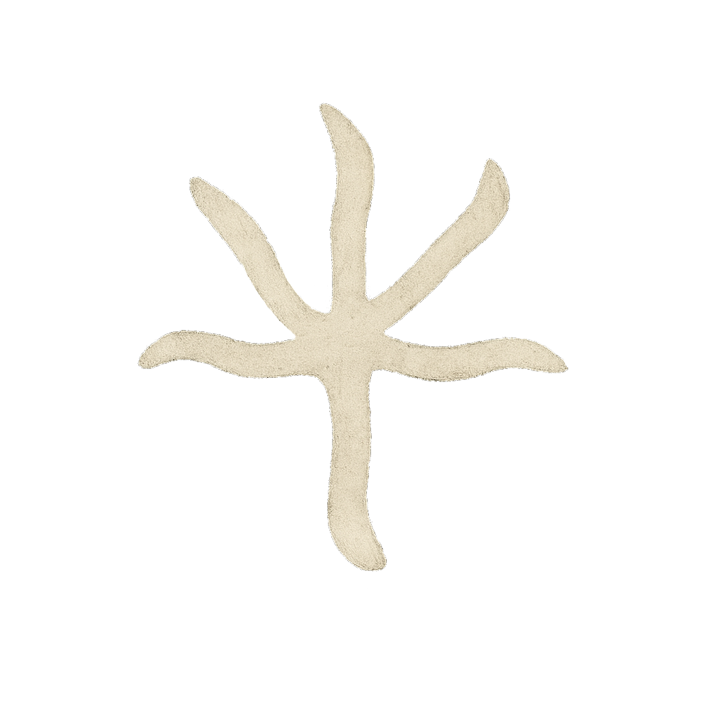 SOZU CAPITAL